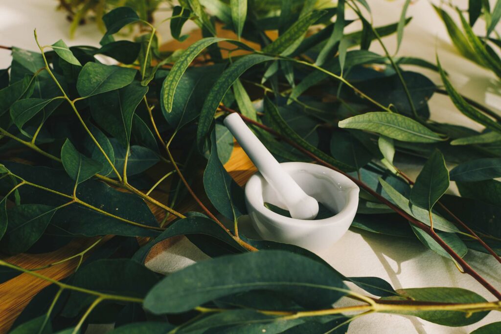 small-white-ceramic-mortar-with-eucalyptus-leaves-AANHPA2.jpg